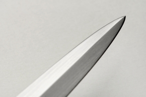 zgm 30 aninga 1-2026 2723